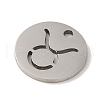 Non-Tarnish 201 Stainless Steel Charms STAS-E217-10P-02-2