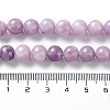Natural Lepidolite/Purple Mica Stone Beads Strands G-M353-A01-8mm-01-4