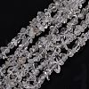 Natural Quartz Crystal Beads Strands G-G011-03-1