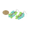 Heart Transparent Acrylic Dangle Earrings EJEW-JE06365-5
