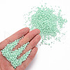 Glass Cylinder Beads SEED-S047-A-035-6