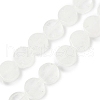 Natural Quartz Crystal Beads Strands G-M454-B03-2