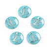 Synthetic Turquoise Charms G-L561-001E-1