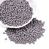 Baking Paint Glass Seed Beads SEED-T006-03Z-3