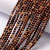 Natural Tiger Iron Bead Strands G-K146-61-3mm-2