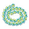Handmade Lampwork Beads Strands LAMP-K037-15E-2