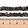 Natural Biotite Beads Strands G-T140-54-5