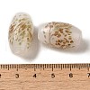 Handmade Lampwork Beads LAMP-P064-01D-3