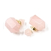Natural Rose Quartz Perfume Bottle Pendants G-L623-08G-06-2