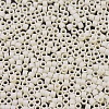 MIYUKI Delica Beads SEED-X0054-DB0883-2