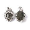 Natural Labradorite Pendants G-P484-03P-06-2