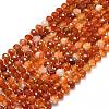 Natural Banded Agate Beads Strands G-P573-A11-01-2