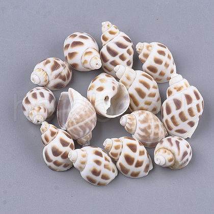 Spiral Shell Beads X-SSHEL-S258-61-1
