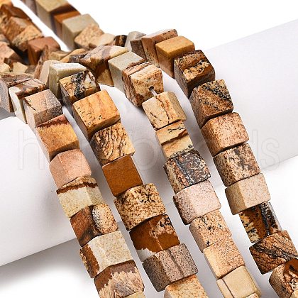 Natural Picture Jasper Beads Strands G-T139-8x8-27A-1