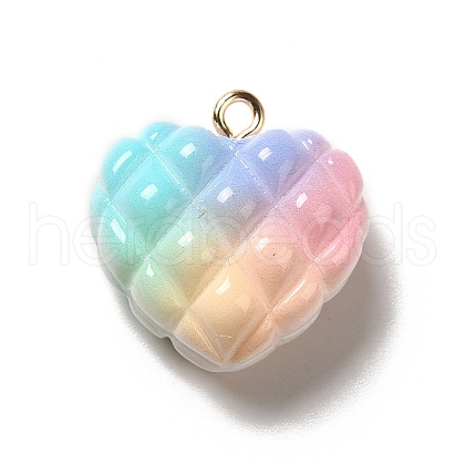 Rainbow Color Opaque Resin Pendants RESI-F035-01-1