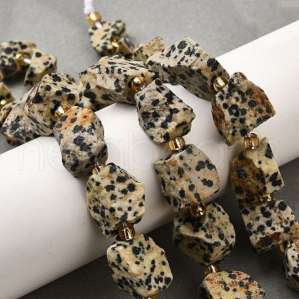Raw Rough Natural Dalmatian Jasper Beads Strands G-Z087-A01-1