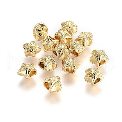 Alloy Beads TIBEB-A004-010G-NR-1