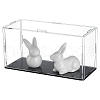 Transparent Acrylic Display Boxes DIY-WH0430-810A-1