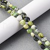 Natural Serpentine Beads Strands G-C179-A48-03-1