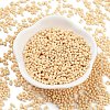 Baking Paint Glass Seed Beads X1-SEED-A033-05G-2