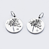 Eco-Friendly 316 Surgical Stainless Steel Micro Pave Cubic Zirconia Charms RB-I078-75P-NR-1
