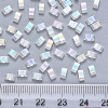 2-Hole Transparent Glass Seed Beads SEED-S031-M-250-3