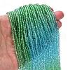 Transparent Painted Glass Beads Strands X1-DGLA-A034-T2mm-A17-2