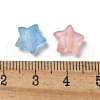 Frosted Acrylic Charms OACR-M023-04B-3