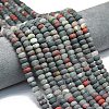 Natural African Bloodstone Beads Strands G-P575-A55-8x5mm-1