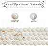 CHGCRAFT 3 Strands Natural Freshwater Shell Beads Strands SHEL-CA0001-007-2