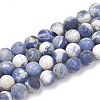 Natural Sodalite Beads Strands G-T106-212-1