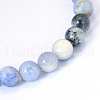 Natural Sodalite Round Bead Strands X-G-E334-10mm-08-2