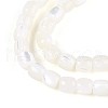 Natural Trochid Shell/Trochus Shell Beads Strands SSHEL-N040-08-3