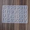 DIY Pendant Silicone Molds DIY-S047-03B-2