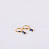 Brass Micro Pave Cubic Zirconia Hoop Earrings WGF8540-09-1