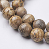 Natural Gemstone Beads Strands GSR12mmC016-2