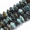 Natural African Turquoise(Jasper) Beads Strands G-R462-16-1