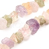 Natural Amethyst & Rose Quartz & Quartz Crystal & Citrine Beads Strands G-I283-F22-2