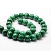 Natural Malachite Bead Strands G-O143-10-12mm-2