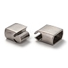 304 Stainless Steel Magnetic Clasps with Glue-in Ends STAS-I171-11P-3