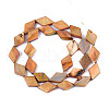 Dyed Natural Freshwater Shell Beads Strands SHEL-T020-13B-2