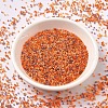 MIYUKI Delica Beads SEED-J020-DB2062-2