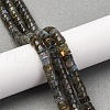 Natural Labradorite Beads Strands G-Z006-C52-1