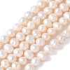 Natural Cultured Freshwater Pearl Beads Strands PEAR-I007-07O-11C-2