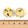 Fruit Round Resin Beads RESI-T059-03A-3