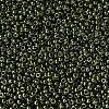 MIYUKI Round Rocailles Beads SEED-G007-RR0306-2