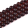 Natural Amber Beads Strands G-K387-D01-03-1