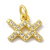 925 Sterling Silver Charms STER-M120-03K-G-1