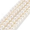 Natural Cultured Freshwater Pearl Beads Strands PEAR-C003-05C-2