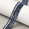 Natural Lapis Lazuli Bead Strands G-G936-2mm-22-5